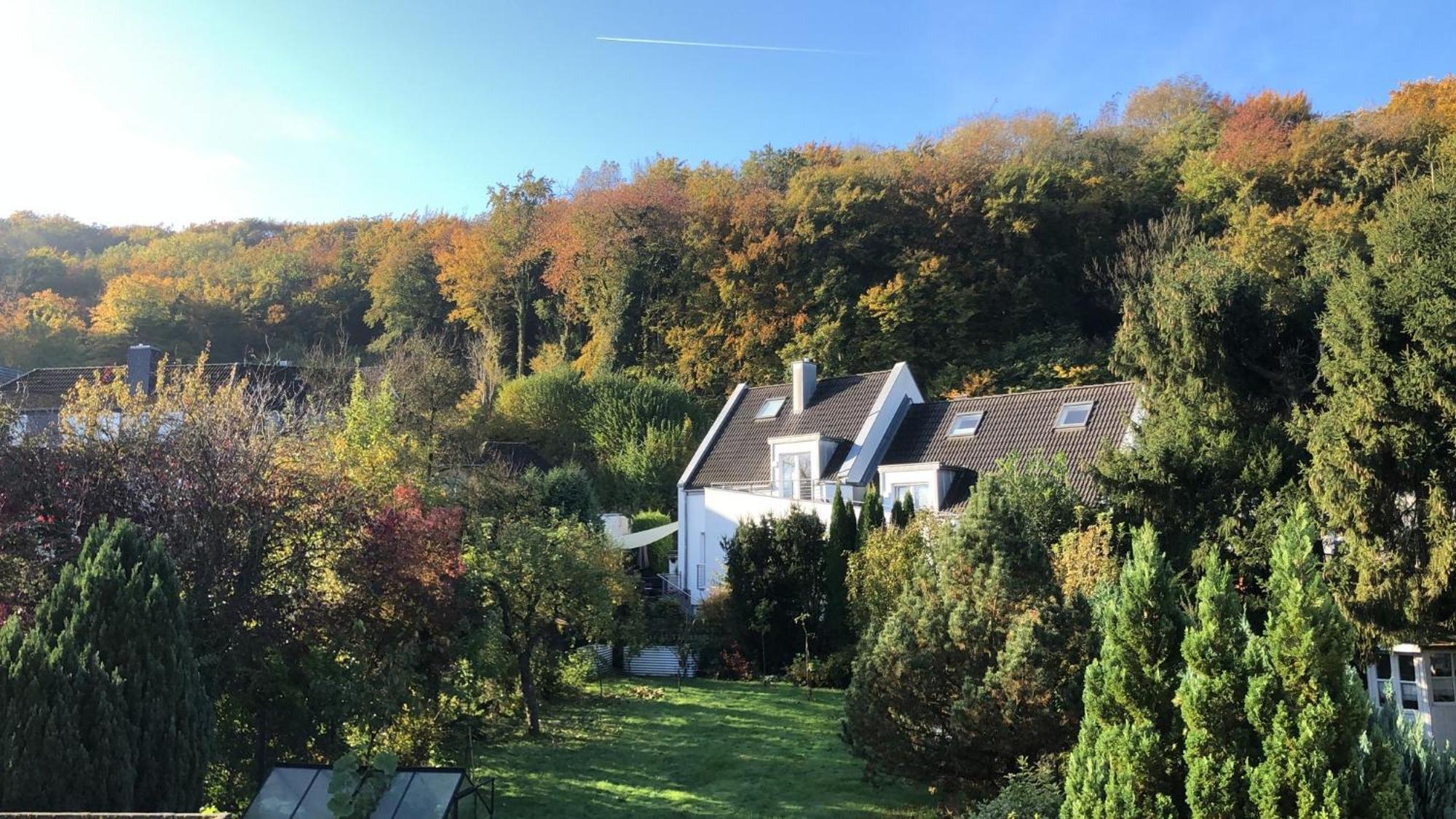 Ferienwohnung Am Schoelerberg Osnabrück Dış mekan fotoğraf